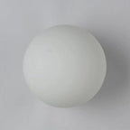 Modern Minimalist Glass Globe Wall Sconce Lamp 1-Light