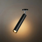 Ceiling Light Metal Integrated LED Modern Indoor Flush Mount Lighting Fixture