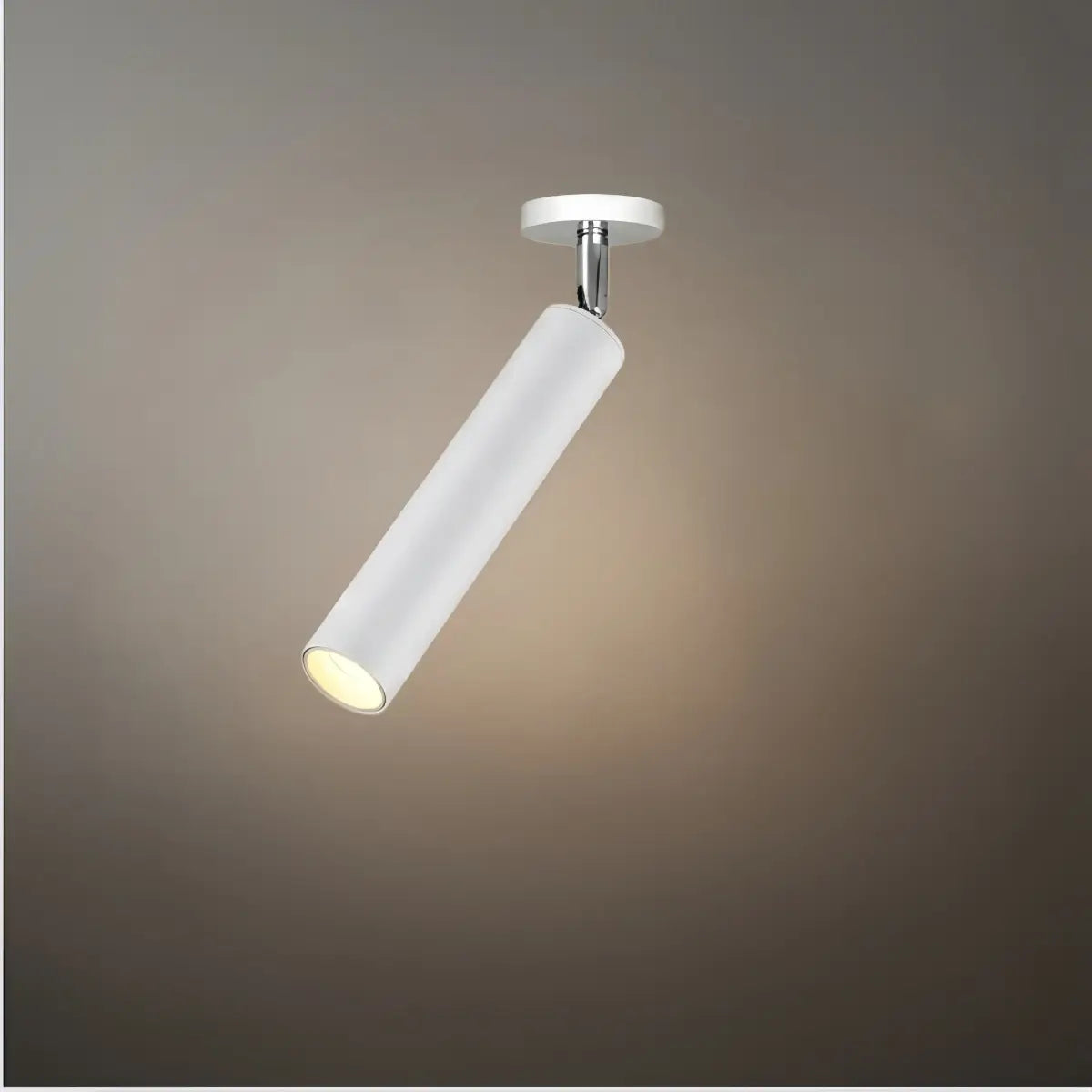 Ceiling Light Metal Integrated LED Modern Indoor Flush Mount Lighting Fixture