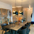 Multi-lite Rotatable Shade Pendant Light