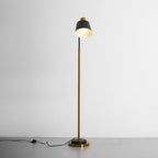 Novak Angled Task Arm Metal Floor Lamp