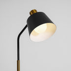 Novak Angled Task Arm Metal Floor Lamp