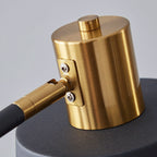 Novak Angled Task Arm Metal Floor Lamp