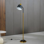 Novak Angled Task Arm Metal Floor Lamp