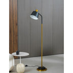 Novak Angled Task Arm Metal Floor Lamp