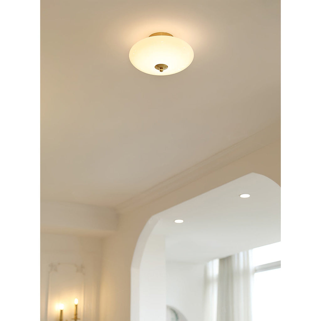 Opal Flush Glass & Iron Ceiling Light