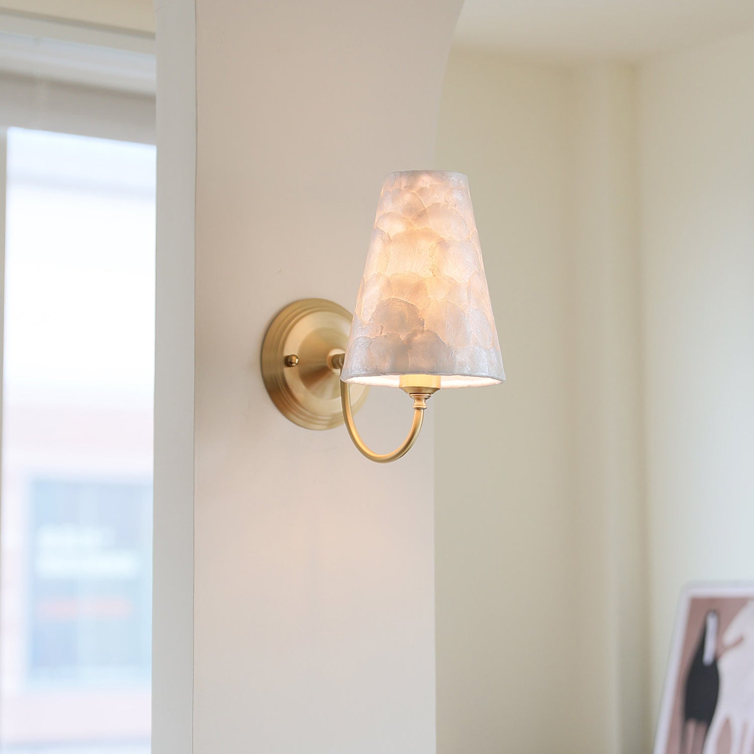 Paloma Textured Shell Wall Sconce