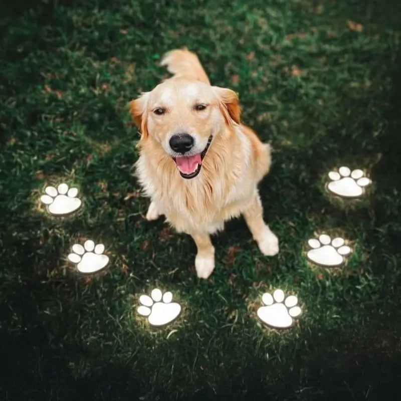 Solar Garden Light Paw Print Design Outdoor Automatic