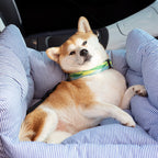 Bello Dog Car Seat | Soft, Washable Cover
