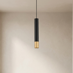 Pendant Light with Aluminum Alloy Material, Adjustable Cord, LED Light Options