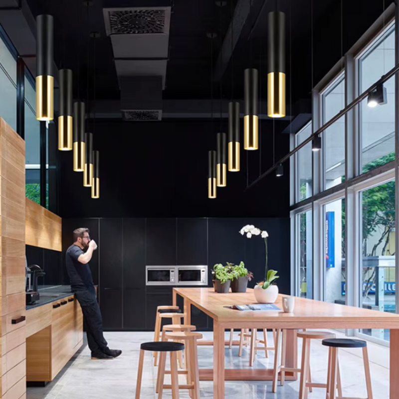 Pendant Light with Aluminum Alloy Material, Adjustable Cord, LED Light Options