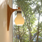 Picle Rubber Wood & Glass Wall Light