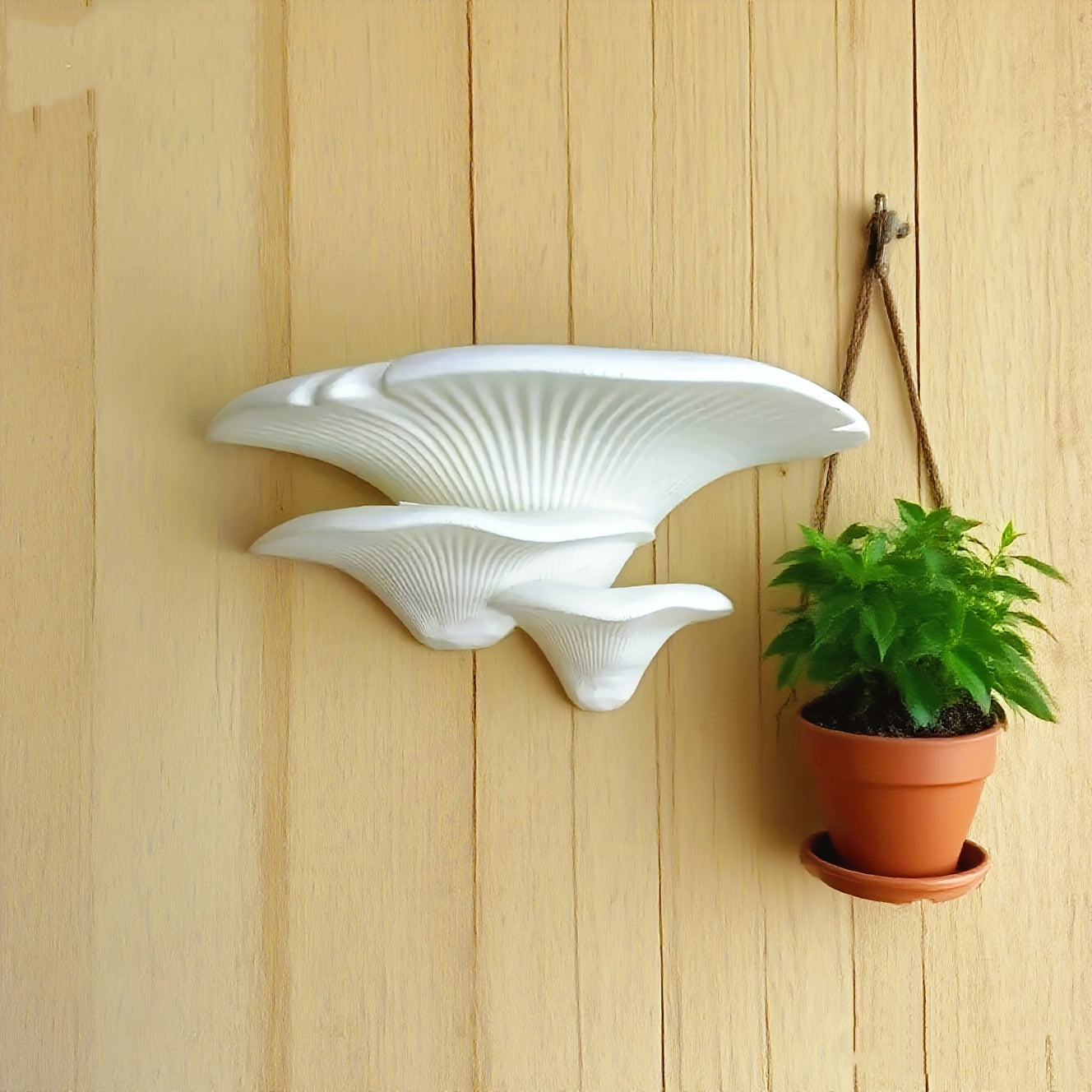 Mushroom Magic: Plastic Wall Shelf – Cute, Sturdy & Floating in Fairy-Tale Design for Children's Rooms & Living Rooms