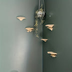 Mushroom Magic: Plastic Wall Shelf – Cute, Sturdy & Floating in Fairy-Tale Design for Children's Rooms & Living Rooms