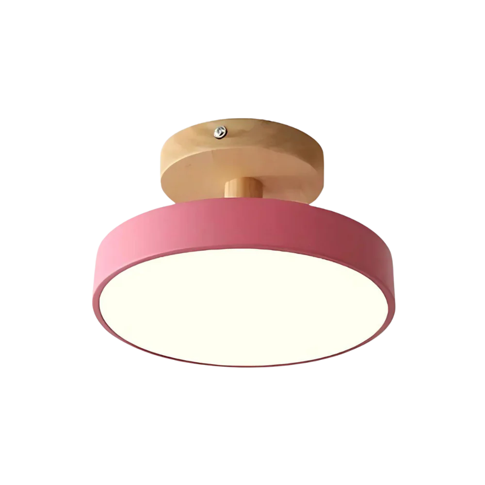 Soreia - Compact Modern LED Ceiling Light