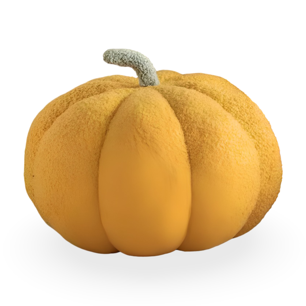 Novelle – Texture Pumpkin Plush Pillow