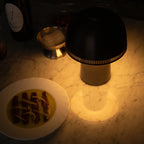 Raku Cordless Ceramic Table Lamp