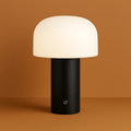 Rechargeable LED Table Lamp Touch Control 5W LED Type C USB Charging