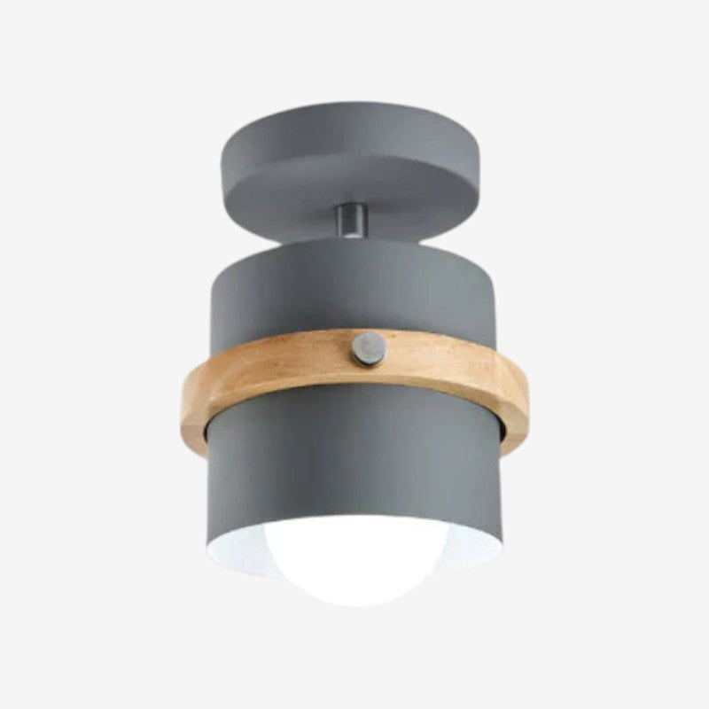 Rotating Flush Mount Ceiling Light LED Dimmable