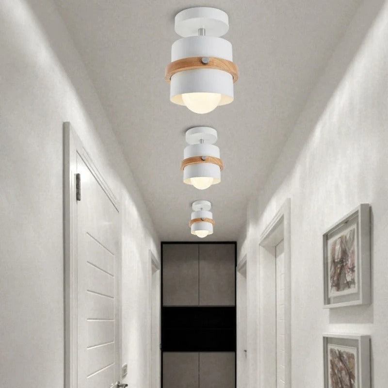Rotating Flush Mount Ceiling Light LED Dimmable