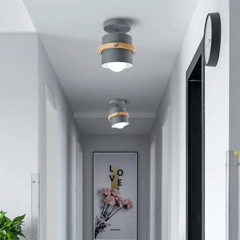 Rotating Flush Mount Ceiling Light LED Dimmable