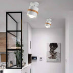 Rotating Flush Mount Ceiling Light LED Dimmable