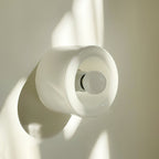 Round Frosted Glass Wall Sconce