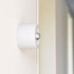 Round Frosted Glass Wall Sconce