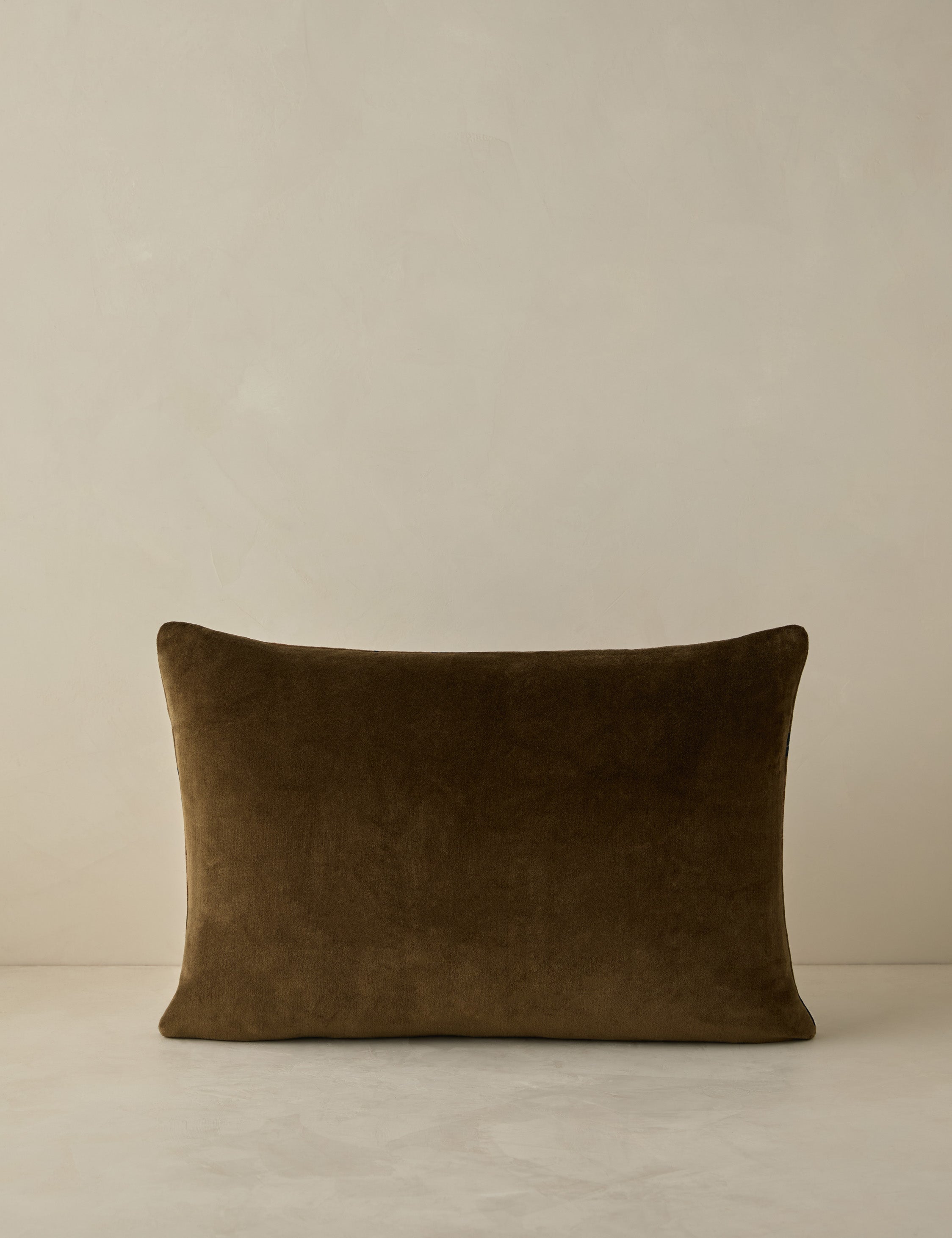 Riviera Velvet Pillow | Floral Print, Rich Palette
