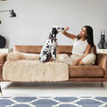 Aero Dog Bed | Modular Design & Washable Anti-Slip