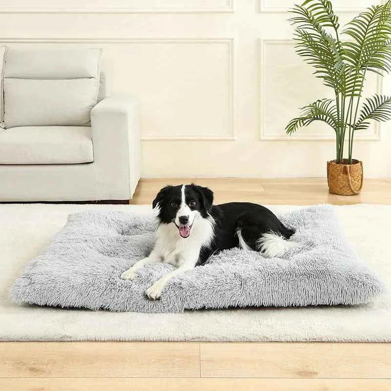 Cleo Hondenbed | Extra Zacht Pluche, 100% Katoen