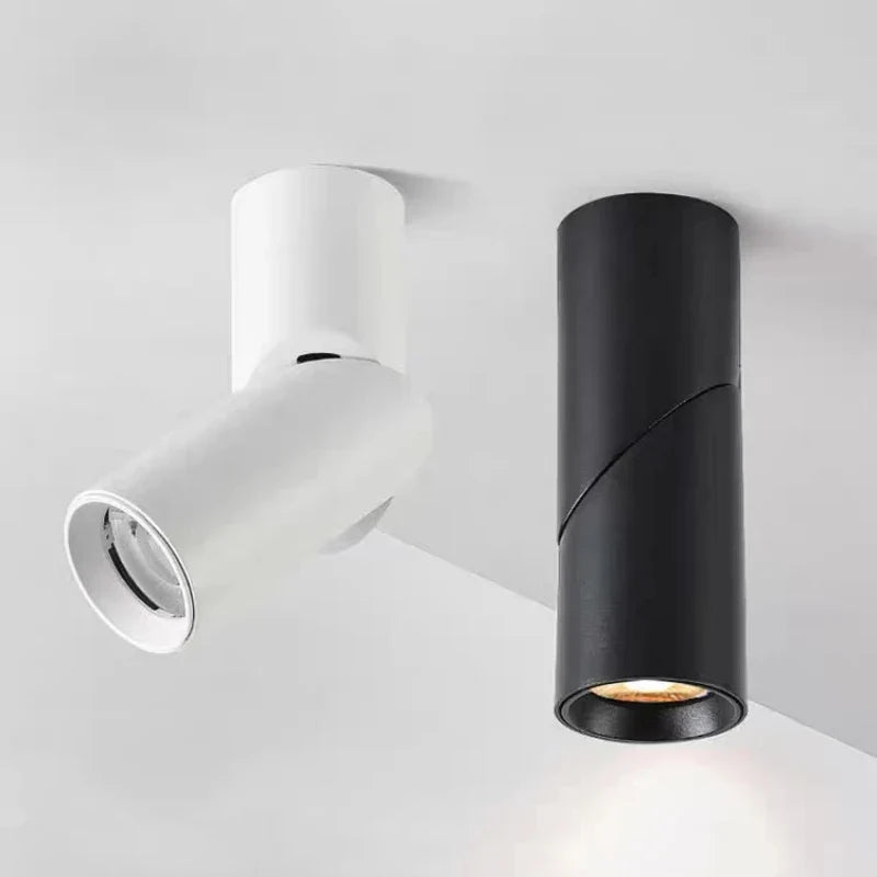 Luminexis - Adjustable LED Downlight Ceiling Spotlights