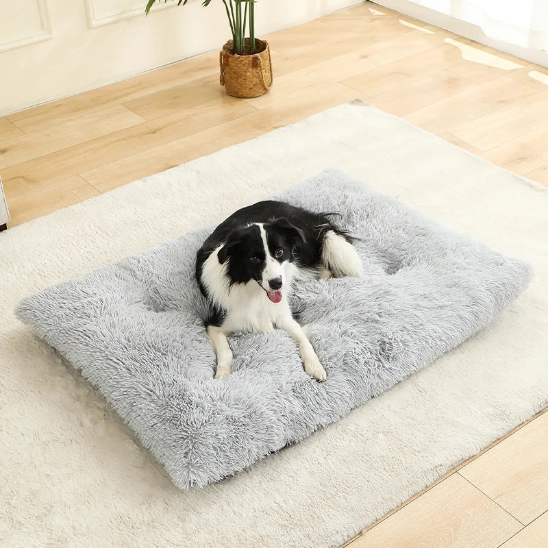 Cleo Hondenbed | Extra Zacht Pluche, 100% Katoen