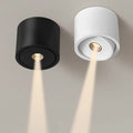 Deloran – Dimmable Ceiling Spot with Narrow Beam Angle