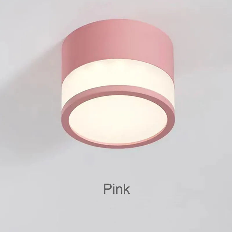 Elyran - Nordic LED Surface Mounted Dimmable Downlight