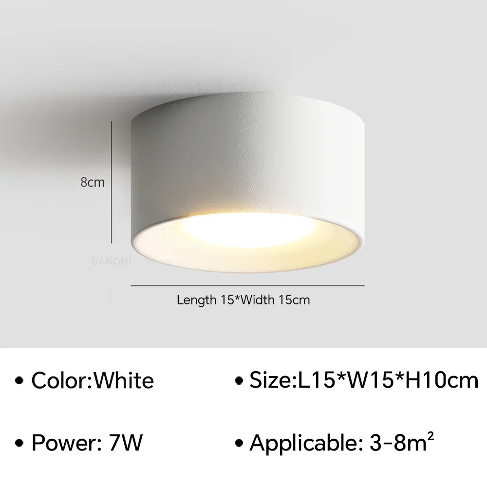Birelio – Modern LED Ceiling Lamp Cylinder Spotlight