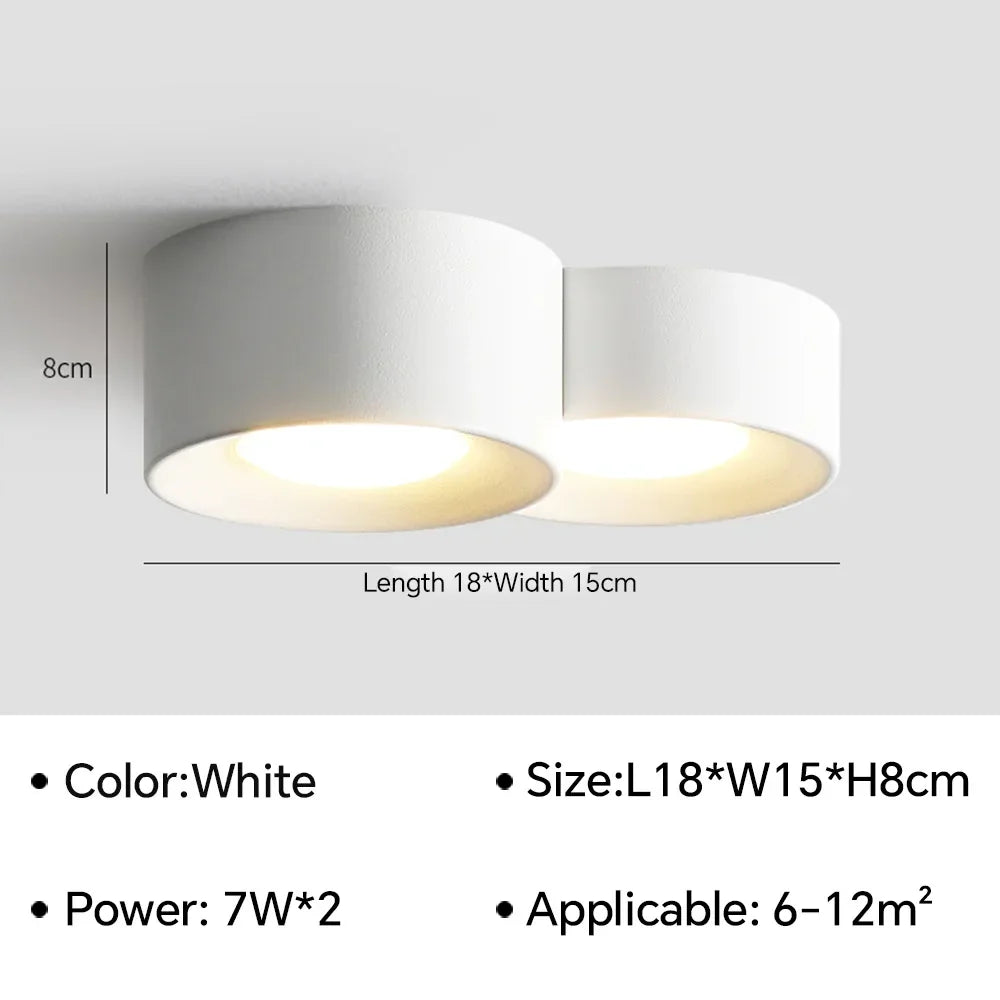 Birelio – Modern LED Ceiling Lamp Cylinder Spotlight