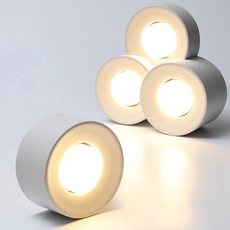 Birelio – Modern LED Ceiling Lamp Cylinder Spotlight