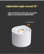Deloran – Dimmable Ceiling Spot with Narrow Beam Angle