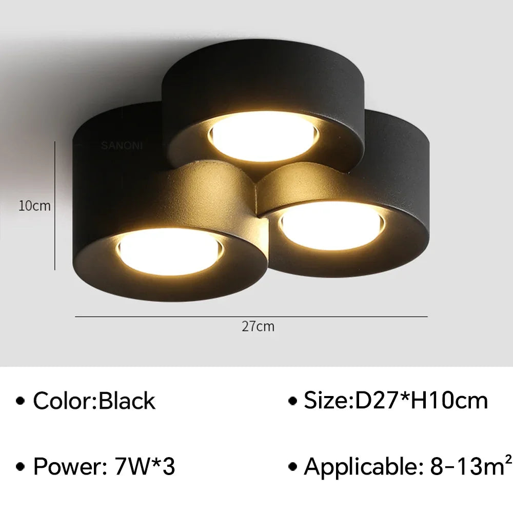 Birelio – Modern LED Ceiling Lamp Cylinder Spotlight