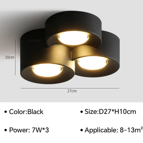 Birelio – Modern LED Ceiling Lamp Cylinder Spotlight