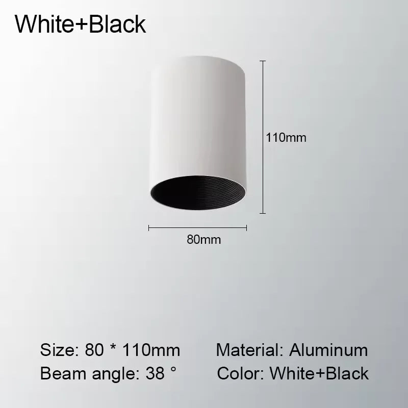 Levorin – LED Surface-Mounted Spot Aluminum Ceiling Lamp
