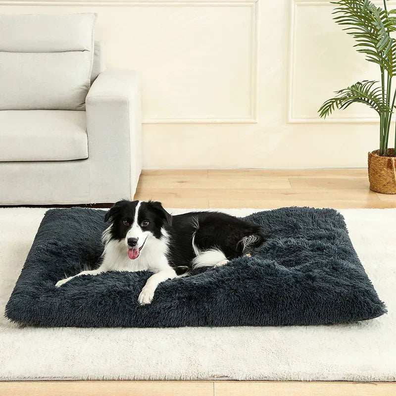 Cleo Hondenbed | Extra Zacht Pluche, 100% Katoen