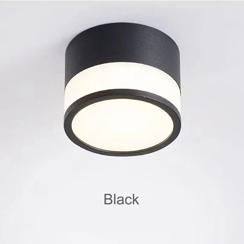 Elyran - Nordic LED Surface Mounted Dimmable Downlight