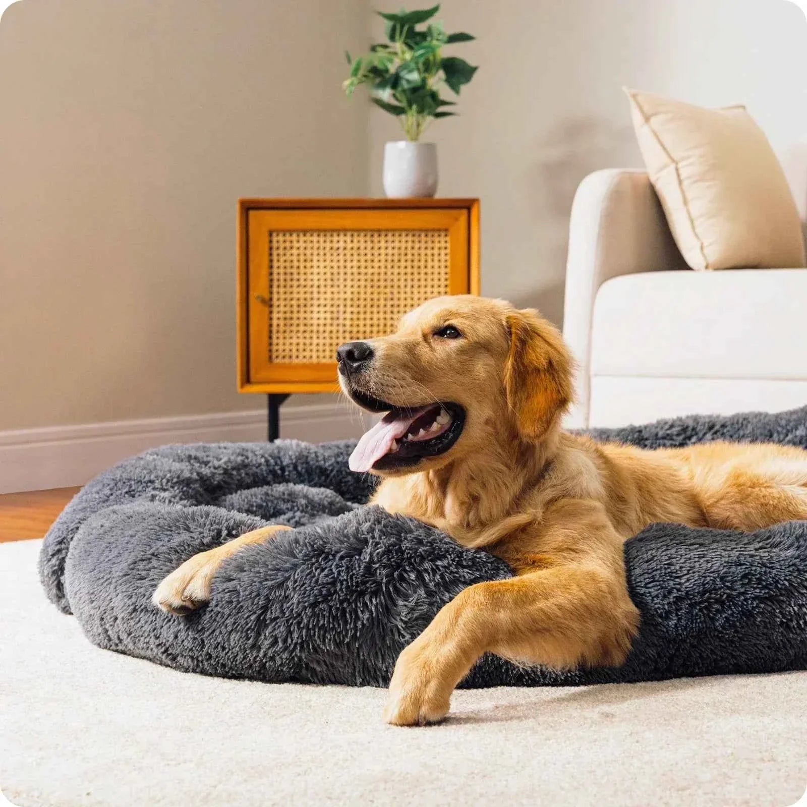 Aero Dog Bed | Modular Design & Washable Anti-Slip