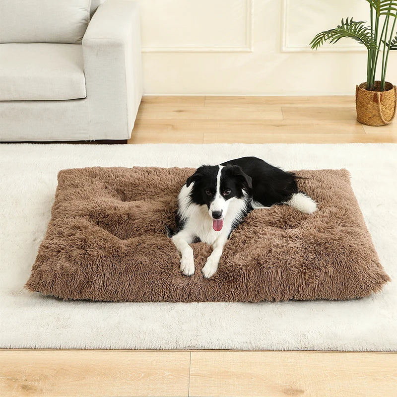 Cleo Hondenbed | Extra Zacht Pluche, 100% Katoen