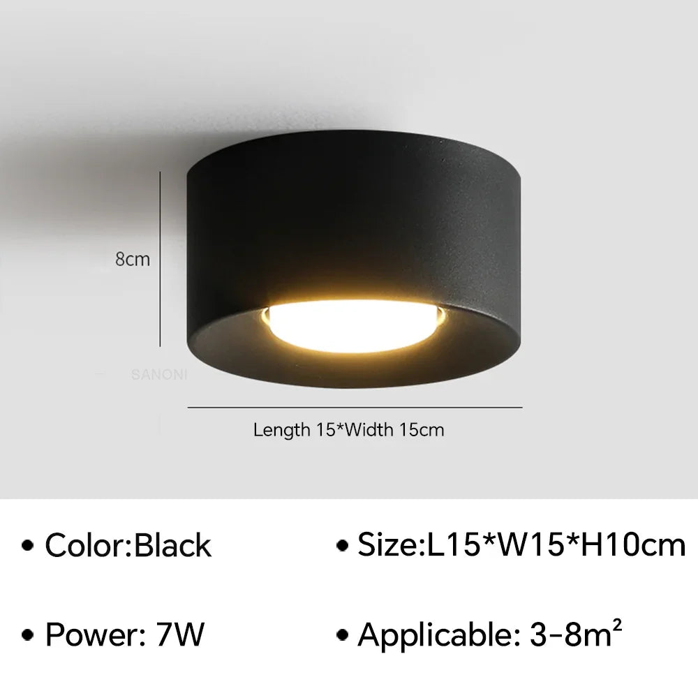 Birelio – Modern LED Ceiling Lamp Cylinder Spotlight