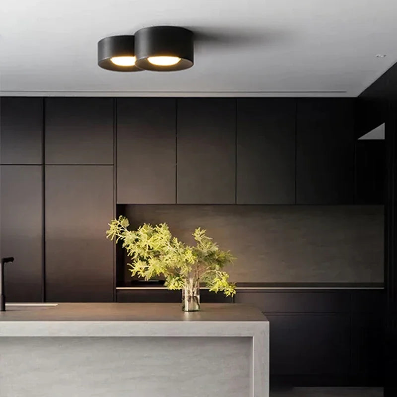 Birelio – Modern LED Ceiling Lamp Cylinder Spotlight