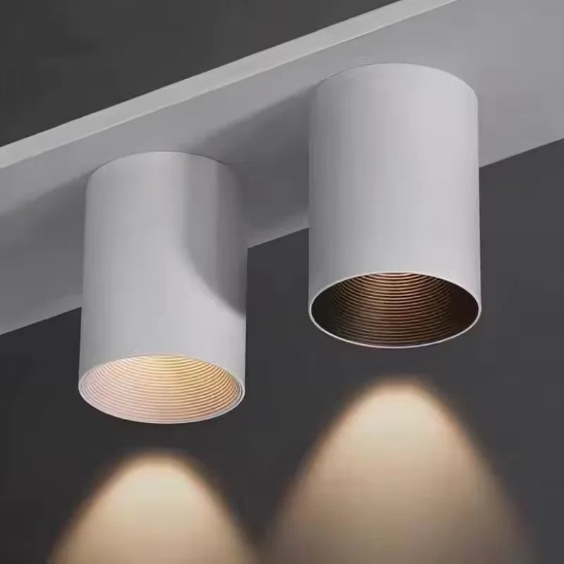 Levorin – LED Surface-Mounted Spot Aluminum Ceiling Lamp