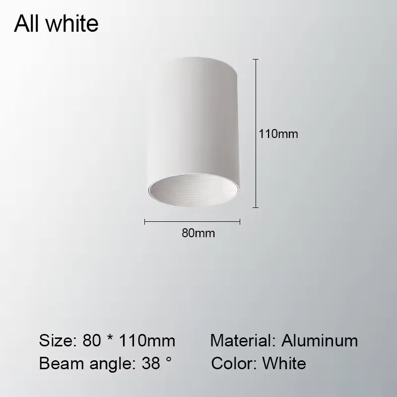 Levorin – LED Surface-Mounted Spot Aluminum Ceiling Lamp